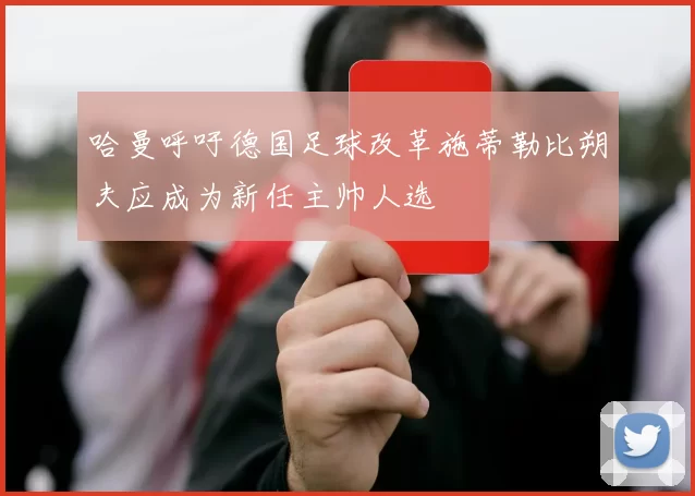哈曼呼吁德国足球改革施蒂勒比朔夫应成为新任主帅人选