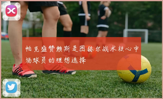 帕克盛赞赖斯是图赫尔战术核心中场球员的理想选择